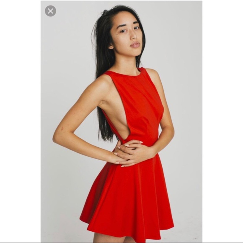 NWT American Apparel Ponte Sleeveless Skater Dress